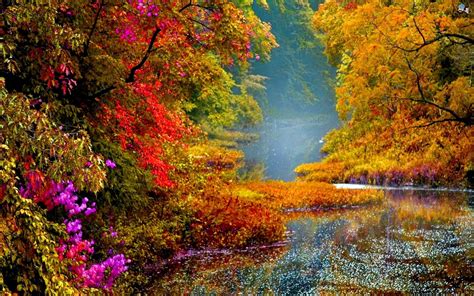 Colorful Scenery Wallpapers Top Free Colorful Scenery Backgrounds