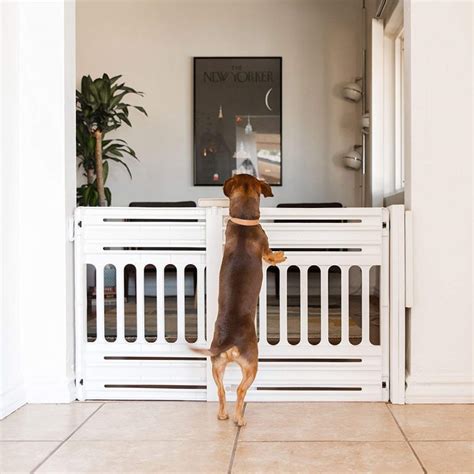 16 Best Expandable Gates For Dogs Hey Djangles