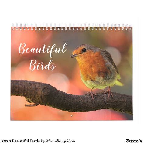 2021 Beautiful Birds Calendar Beautiful Birds Backyard