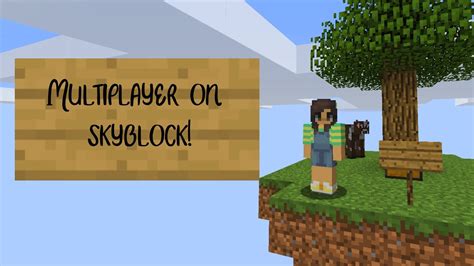 How To Play Skyblock On Your Multiplayer Server Minecraft Youtube
