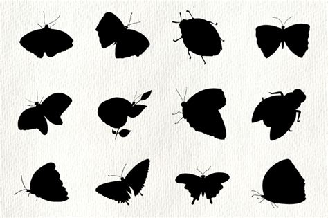 Butterfly Silhouettes Clipart By Irisidia Thehungryjpeg