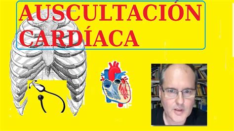 Auscultación Cardíaca 1 Primero Y Segundo Ruido Youtube