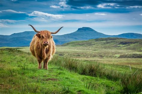 Your Complete Guide To The Isle Of Skye