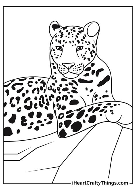 Snow Leopard Coloring Pages Home Design Ideas