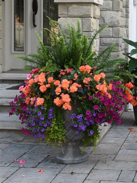 Beautiful Tropical Front Entry Planter Container Gardening Flower