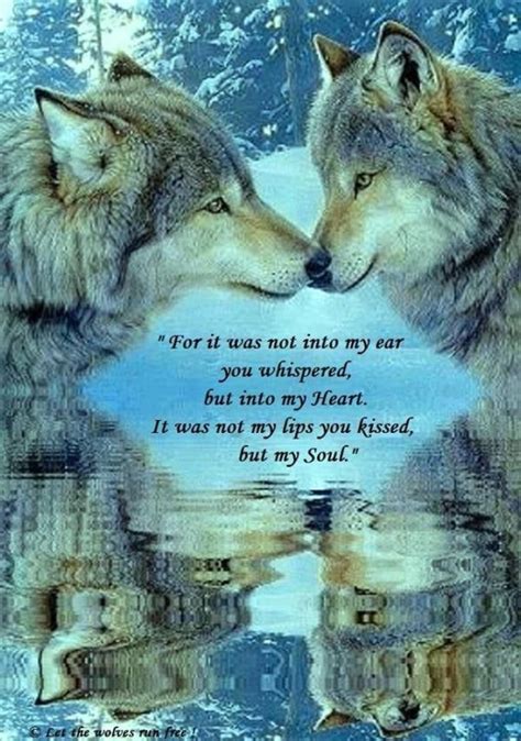 Love Will Find A Way Through Paths Where Wolves Fear To Prey