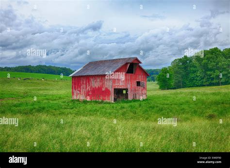 Cows And Red Barn Hi Res Stock Photography And Images Alamy