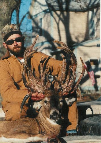 History Whitetail Deer