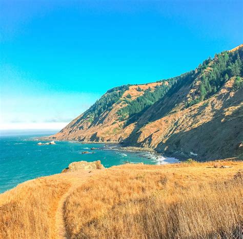 Hiking The Lost Coast Trail In Northern California — Whiskey Tango