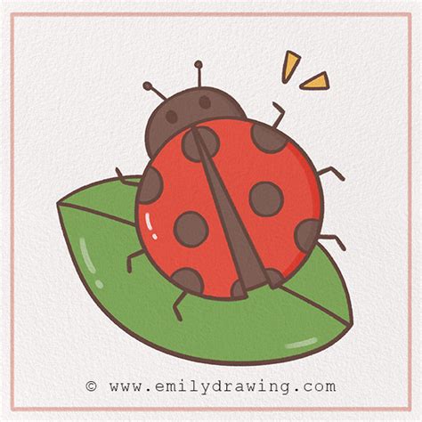 How To Draw A Ladybug Emily Drawing