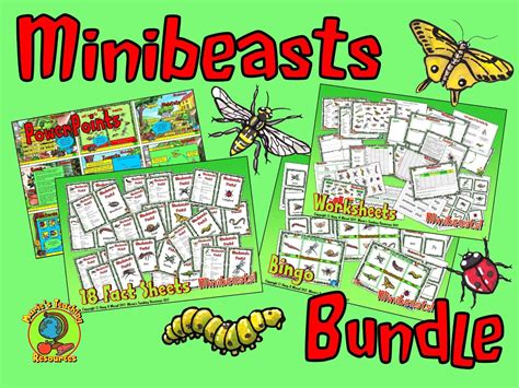Minibeasts Bundle Teaching Resources