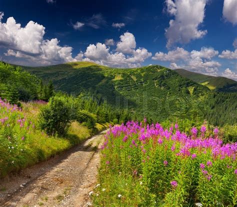 Beautiful Summer Landscape In The Mountains Stock Photo Colourbox
