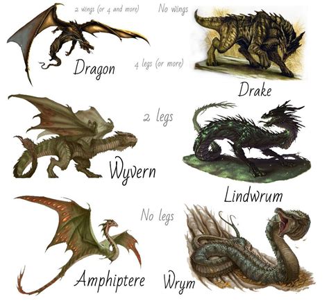 Types Of Dragons Dragon Art Dragon Artwork