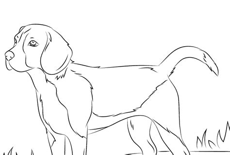 Rysunek Obraz Rysunek Psa Do Druku