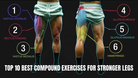 The Top 10 Best Compound Exercises For Stronger Legs Ultimate Guide