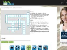 There are over 206 bones in the human skeleton, and i'll be impressed if you can find 12. Anatomy Crossword Puzzle: Bones Interactive for 8th - 11th Grade | Lesson Planet