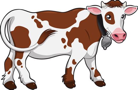 Cow Png Transparent Image Download Size 800x520px