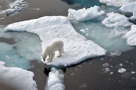 erneut rekord bei globaler erwärmung der ozeane
