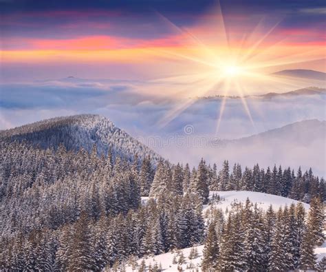 Beautiful Winter Sunrise In Mountains Stock Photo Image