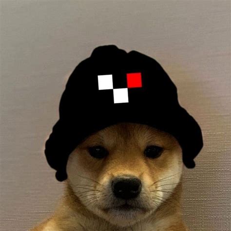 Pin Em Doge With Hat