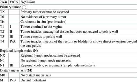 1 Tnm And Figo Staging For Vaginal Cancer Download Scientific Diagram