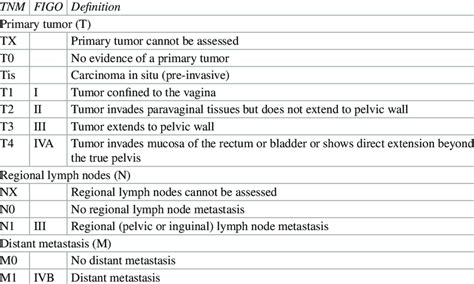 Figo committee on gynecologic oncology. 1 TNM and FIGO staging for vaginal cancer | Download ...