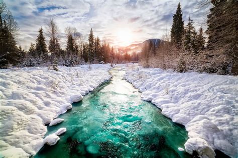 Canada Snow Nature Landscape River Winter Pine Trees Wallpapers