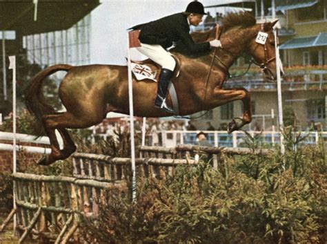 Pat Smythe Show Jumping Nostalgia Eventing Horses Vintage Horse