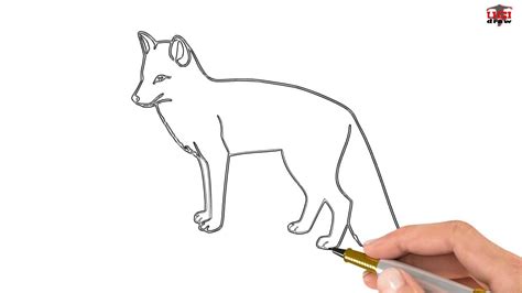 How To Draw A Fox Easy Drawing Step By Step Tutorials For Beginners
