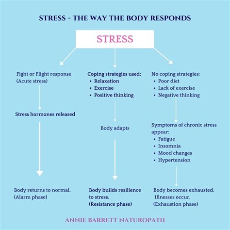 What Is Stress Annie Barrett Naturopath Caloundra