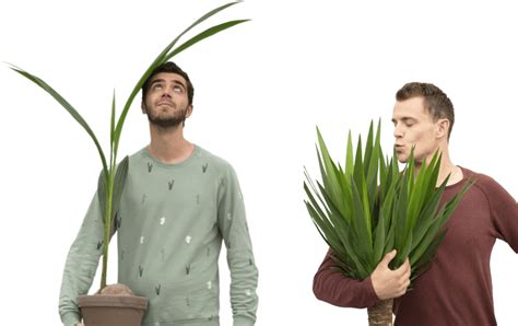 Plantsome The Ikea of Plants - Vertical Farming Forum