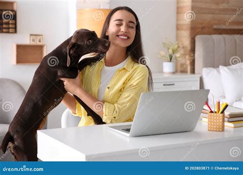 Young Woman Getting Distracted By Her Dog While Working With Laptop In