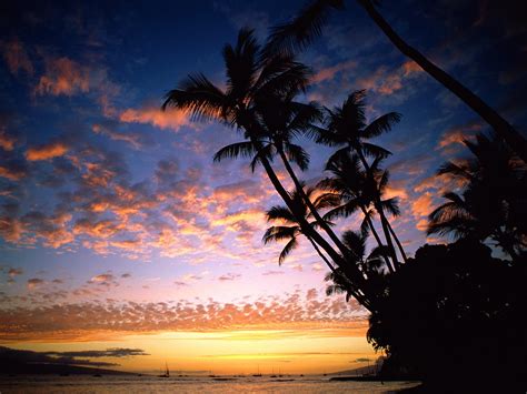 68 Hawaii Sunset Wallpaper On Wallpapersafari