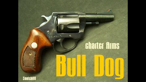 It was introduced in 1973. Charter Arms Bull Dog 44 Special Revolver - YouTube