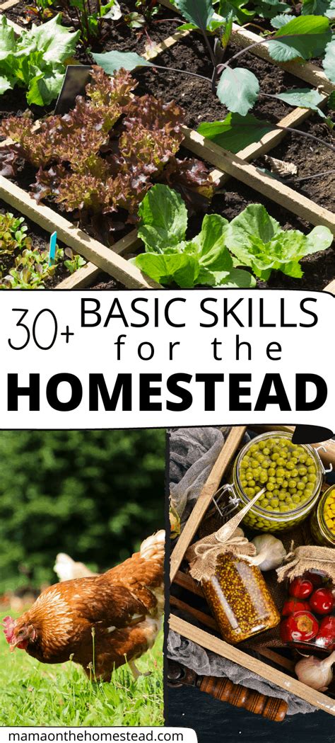 30 Basic Homestead Skills You Need To Learn Mama On The Homestead