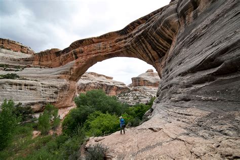 Natural Bridges National Monument Things To Do Bluff Dwellings