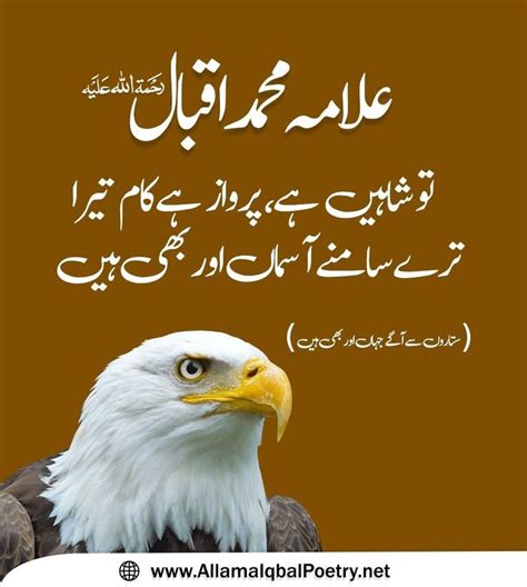 Pin by Noshi on Allama Iqbal (Our National Poet) | Iqbal poetry, Allama ...