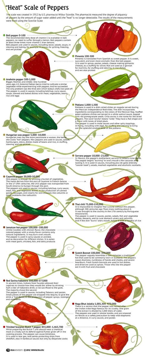 Top 10 Cooking Infographics