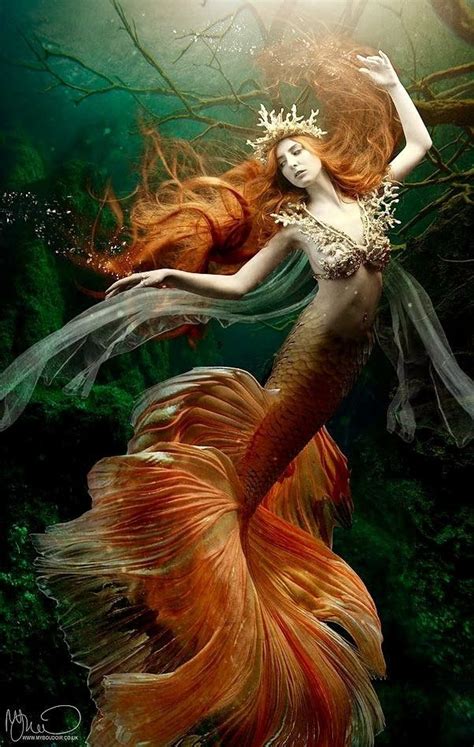 siren mermaid mermaid fairy mermaid dreams mermaid life tattoo mermaid mermaid kisses