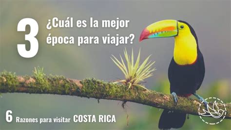 Mejor Epoca Para Viajar A Costa Rica Actualizado Febrero 2023