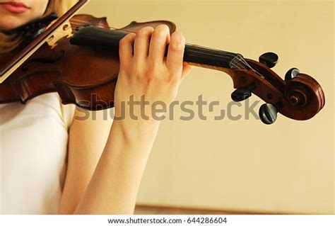 Violin Profile Violin Fourstringed Musical Instrument Stock Photo