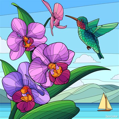 Blank Coloring Pages, Coloring Sheets, Coloring Books, Colouring