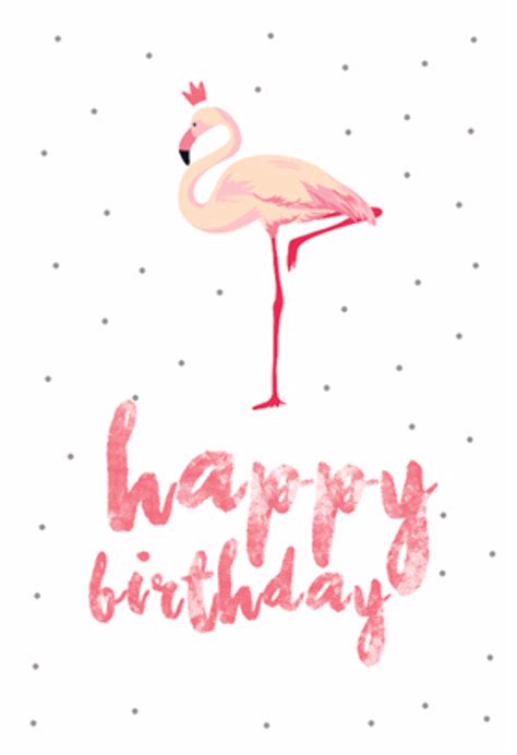 Download High Quality Flamingo Clip Art Birthday Transparent Png Images