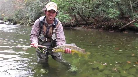 Fly Fishing For Large Brown Trout In The Smokies In The Fall Youtube