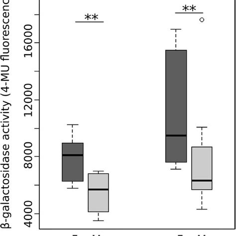 Boxplot Of β Galactosidase Activity In Armadillum Vulgare According To