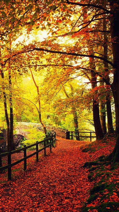 Fall Scene Fall Scenes Harvest Landscape Nature Scenery Scenes Season Hd Phone Wallpaper