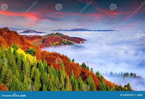 Colorful Autumn Morning In The Carpathian Mountains Sokilsky Ri Stock