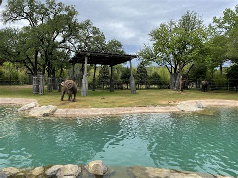 Fort Worth Zoo Review Fort Worth Zoo Zoochat