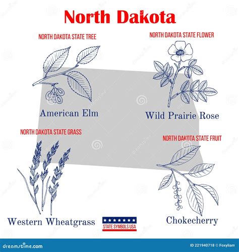 North Dakota Set Of Usa Official State Symbols Stock Vector