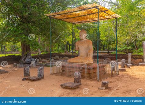 Statue Of Samadhi Buddha At Anuradhapura At Sri Lanka Stock Image